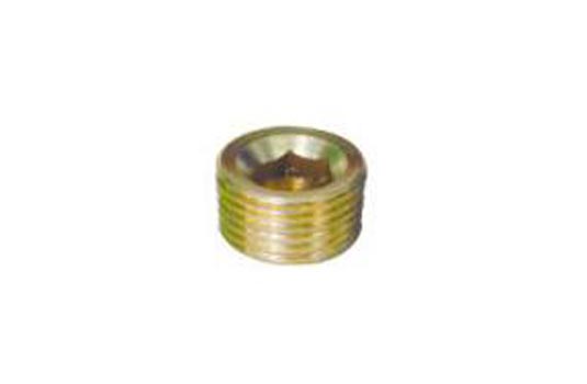 Plug   DF-POH-1/4"